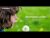 Blessing WordPress Theme